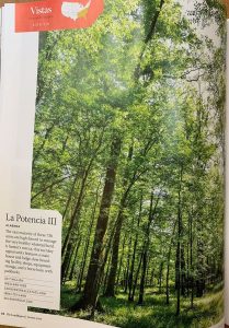 La Potencia III is land for sale in Marengo County Alabama by Jonathan Goode